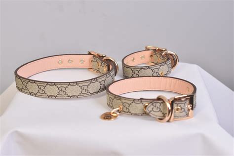 collare gucci per cani|Gucci Pet .